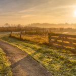 Nieuwsbrief oktober 2025